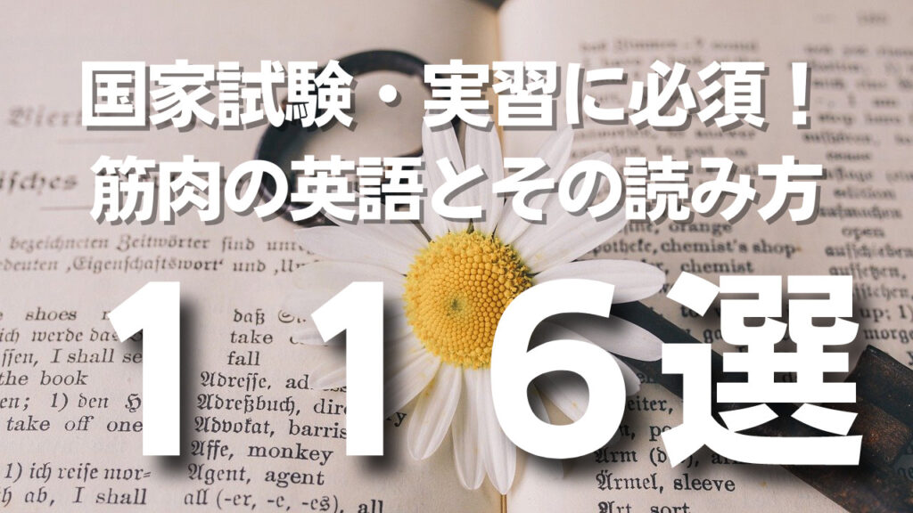 医療現場で必須 絶対に抑えておくべき臨床英語1259選