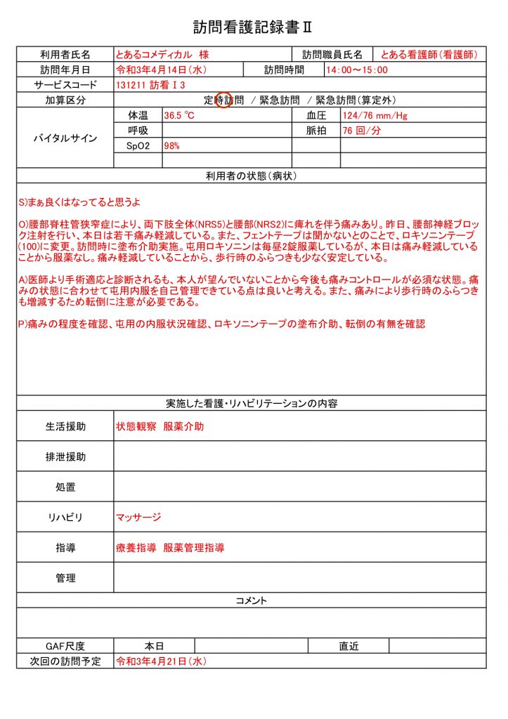 訪問看護における看護記録の書き方完全解説 記載例を多数紹介 記録書